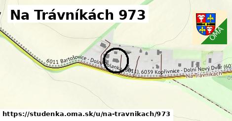 Na Trávníkách 973, Studénka