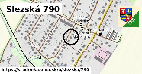 Slezská 790, Studénka