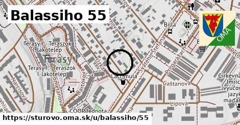 Balassiho 55, Štúrovo