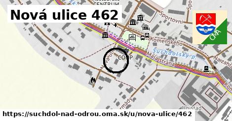 Nová ulice 462, Suchdol nad Odrou