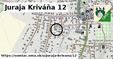 Juraja Kriváňa 12, Šumiac