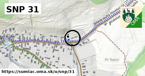 SNP 31, Šumiac