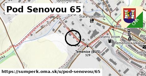 Pod Senovou 65, Šumperk