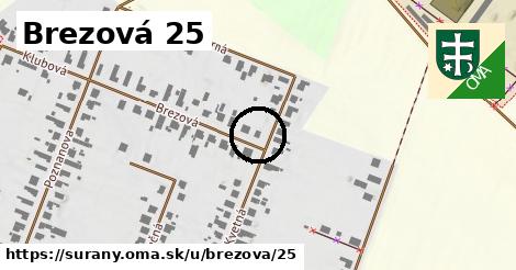 Brezová 25, Šurany