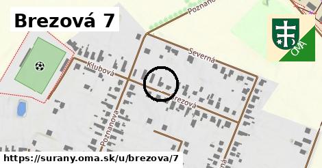 Brezová 7, Šurany