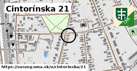 Cintorínska 21, Šurany