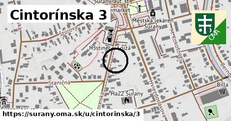 Cintorínska 3, Šurany