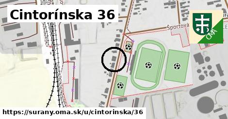 Cintorínska 36, Šurany