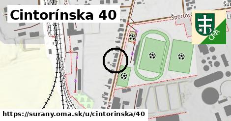 Cintorínska 40, Šurany