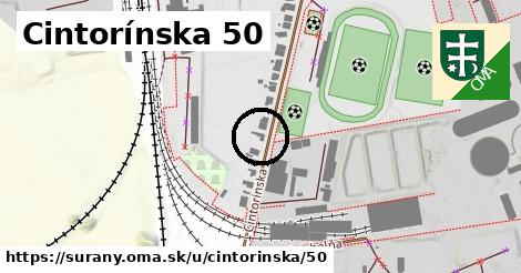 Cintorínska 50, Šurany