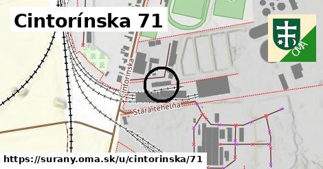 Cintorínska 71, Šurany