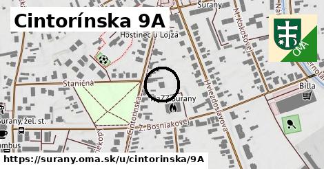 Cintorínska 9A, Šurany