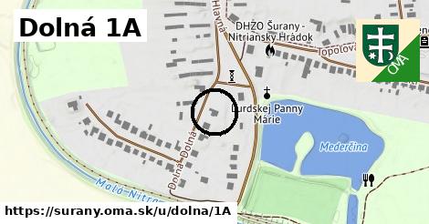 Dolná 1A, Šurany