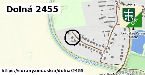 Dolná 2455, Šurany