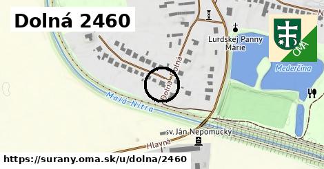 Dolná 2460, Šurany
