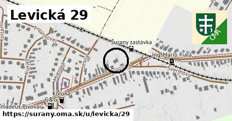 Levická 29, Šurany