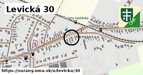 Levická 30, Šurany