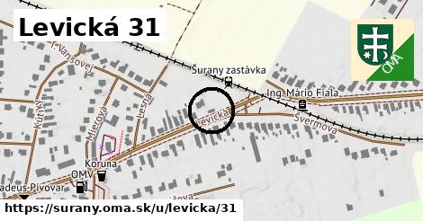 Levická 31, Šurany