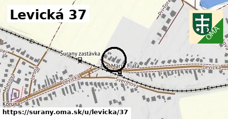 Levická 37, Šurany