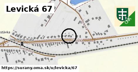 Levická 67, Šurany