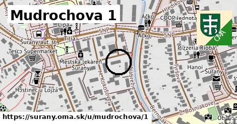 Mudrochova 1, Šurany