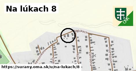 Na lúkach 8, Šurany