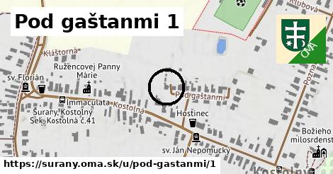 Pod gaštanmi 1, Šurany