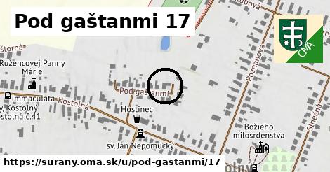 Pod gaštanmi 17, Šurany