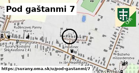 Pod gaštanmi 7, Šurany