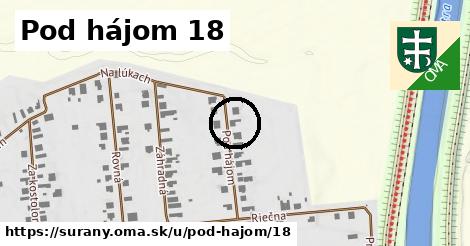 Pod hájom 18, Šurany