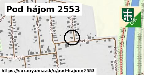 Pod hájom 2553, Šurany