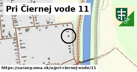 Pri Čiernej vode 11, Šurany