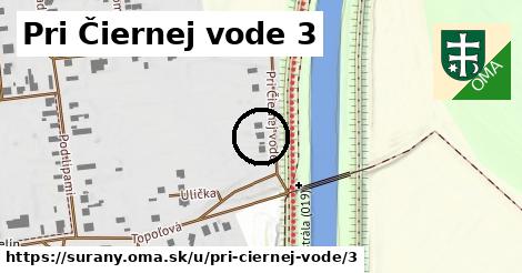 Pri Čiernej vode 3, Šurany