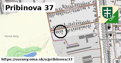 Pribinova 37, Šurany