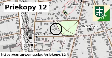 Priekopy 12, Šurany