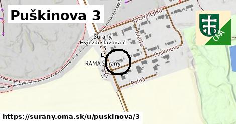 Puškinova 3, Šurany