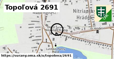 Topoľová 2691, Šurany