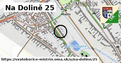 Na Dolině 25, Svatobořice-Mistřín