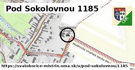 Pod Sokolovnou 1185, Svatobořice-Mistřín