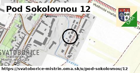 Pod Sokolovnou 12, Svatobořice-Mistřín