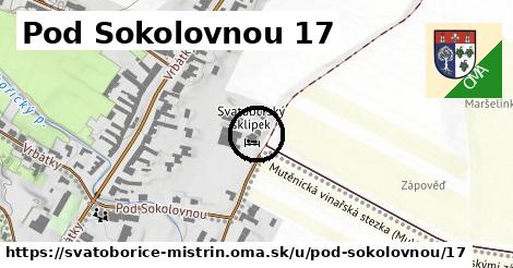 Pod Sokolovnou 17, Svatobořice-Mistřín