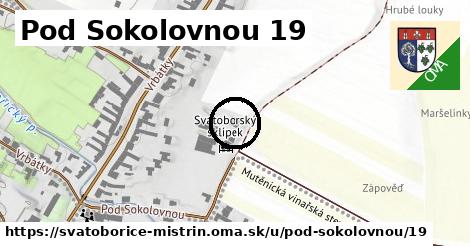 Pod Sokolovnou 19, Svatobořice-Mistřín