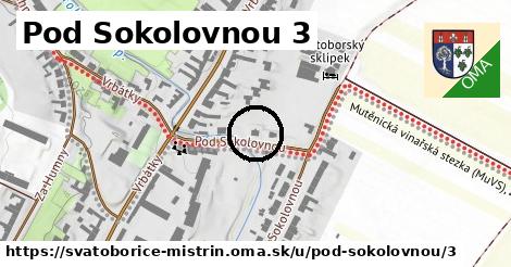 Pod Sokolovnou 3, Svatobořice-Mistřín
