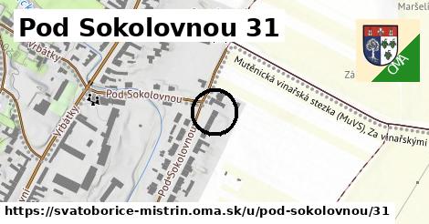 Pod Sokolovnou 31, Svatobořice-Mistřín