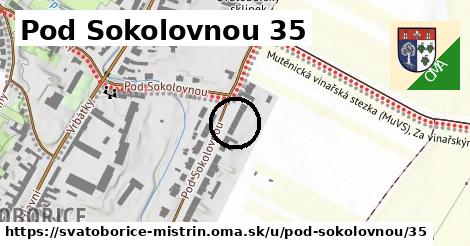 Pod Sokolovnou 35, Svatobořice-Mistřín