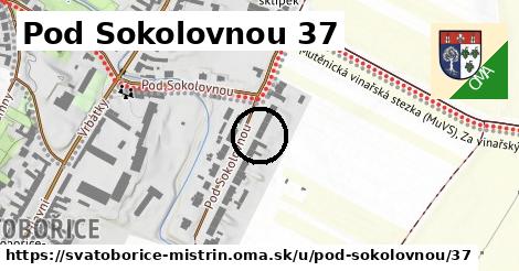 Pod Sokolovnou 37, Svatobořice-Mistřín