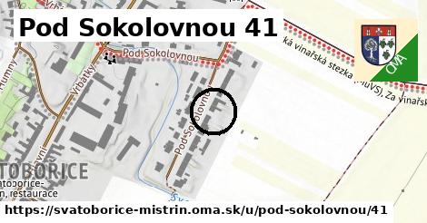 Pod Sokolovnou 41, Svatobořice-Mistřín