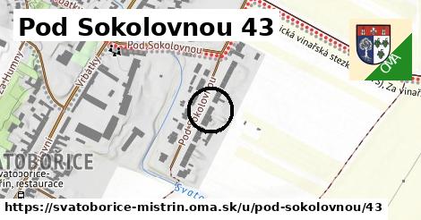 Pod Sokolovnou 43, Svatobořice-Mistřín