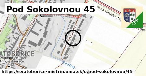 Pod Sokolovnou 45, Svatobořice-Mistřín