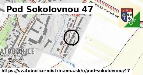 Pod Sokolovnou 47, Svatobořice-Mistřín